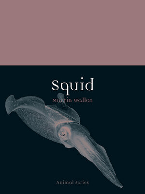 cover image of Squid
